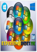 ExperienceIndexOK 4.01 Portable (x86-x64) (2022) (Multi/Rus)